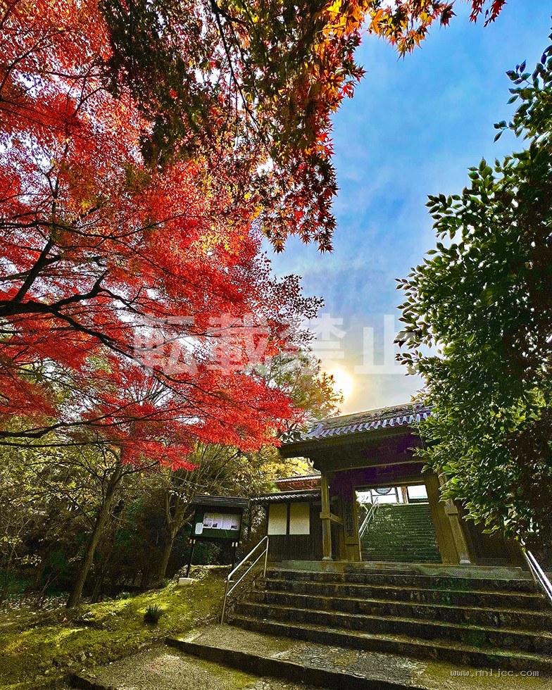 今日大赛 头图作品